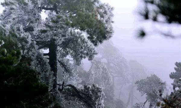 给小怪喂食