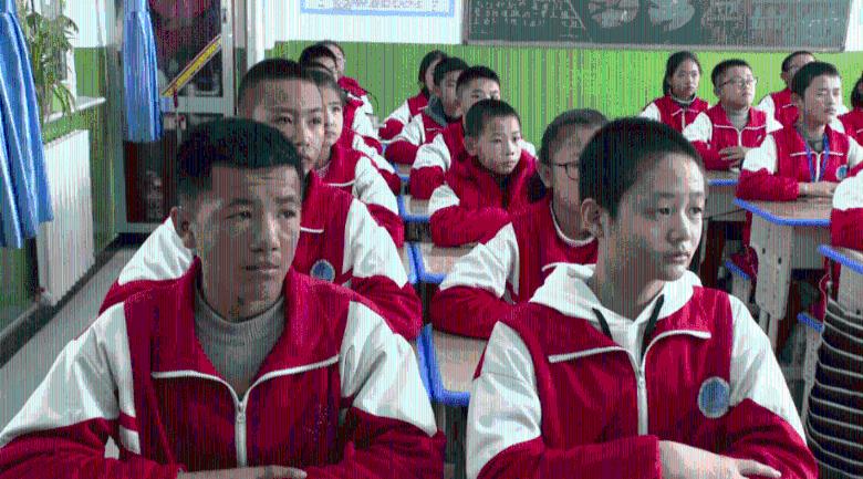 救援小橘猫