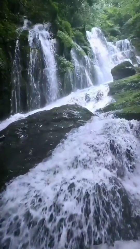 南京街头巷尾开始有年味了，南京地铁贴上了春联，南京地铁年味儿一下就上来了