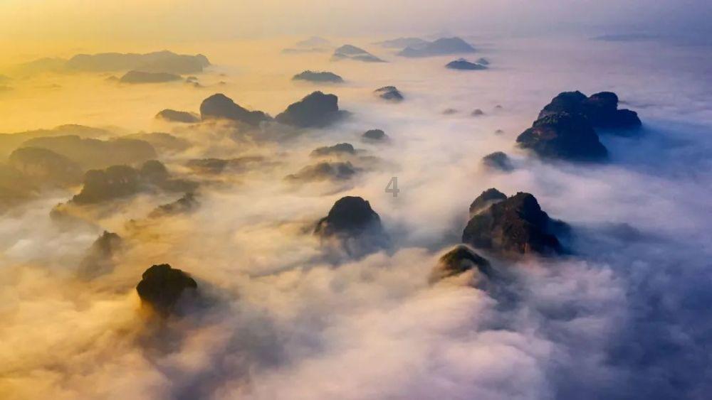 救援青龙